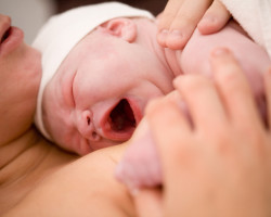 Newborn Care Specialist Agency