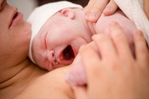 Newborn Care Specialist Agency
