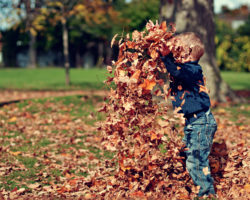 Little Boy Playing with a Pile of Leaves