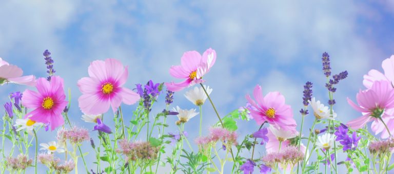 March Spring Weekend Welcome Spring with Our March Weekend Activities and Events