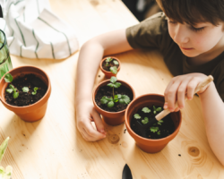 child at table gardening inside with pots and dirt