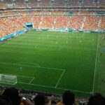 FIFA World Cup Soccer Host City